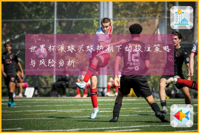 世界杯滚球买球热潮下的投注策略与风险分析