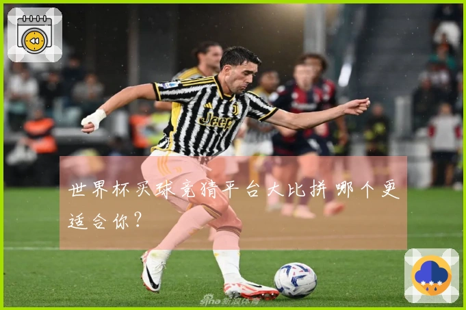 世界杯买球竞猜平台大比拼 哪个更适合你？