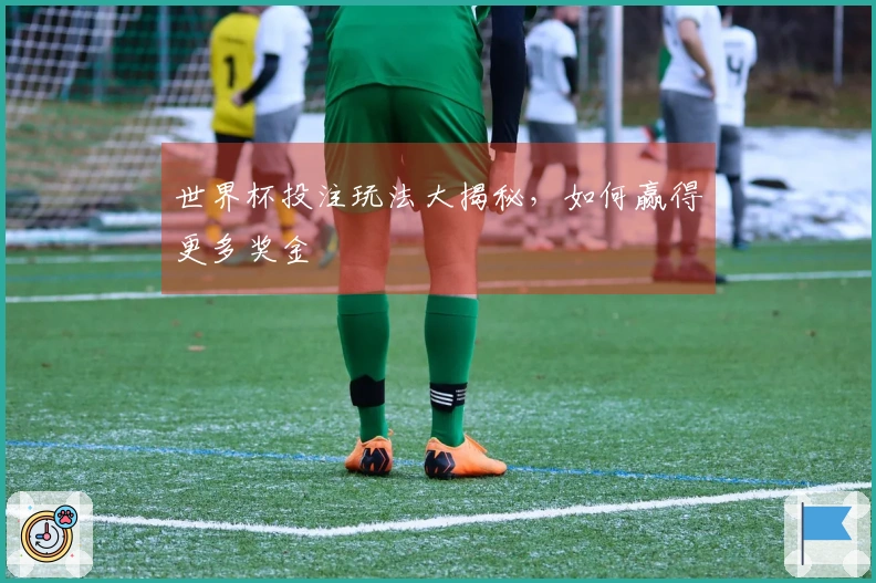 世界杯投注玩法大揭秘，如何赢得更多奖金