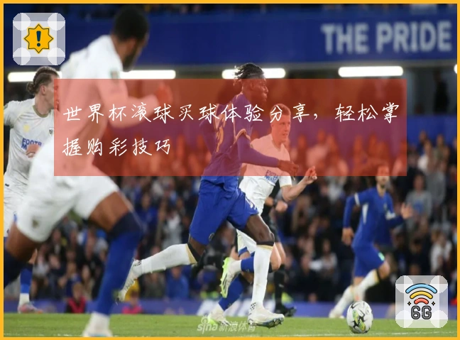 世界杯滚球买球体验分享，轻松掌握购彩技巧