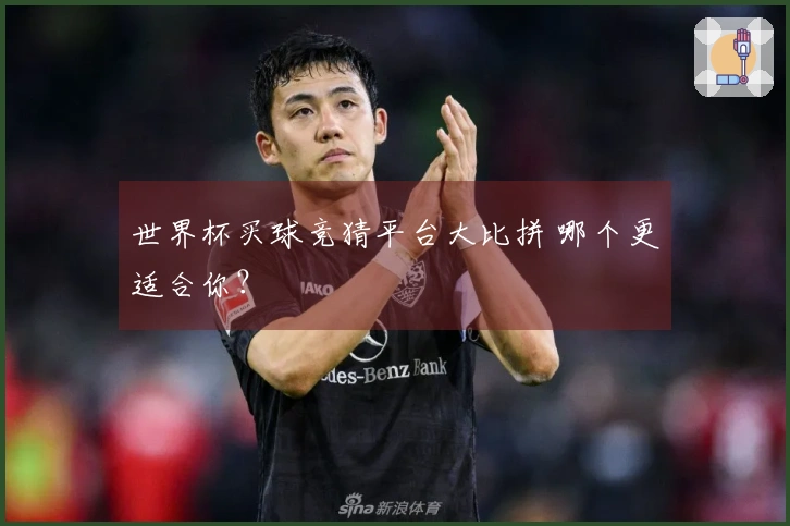 世界杯买球竞猜平台大比拼 哪个更适合你？