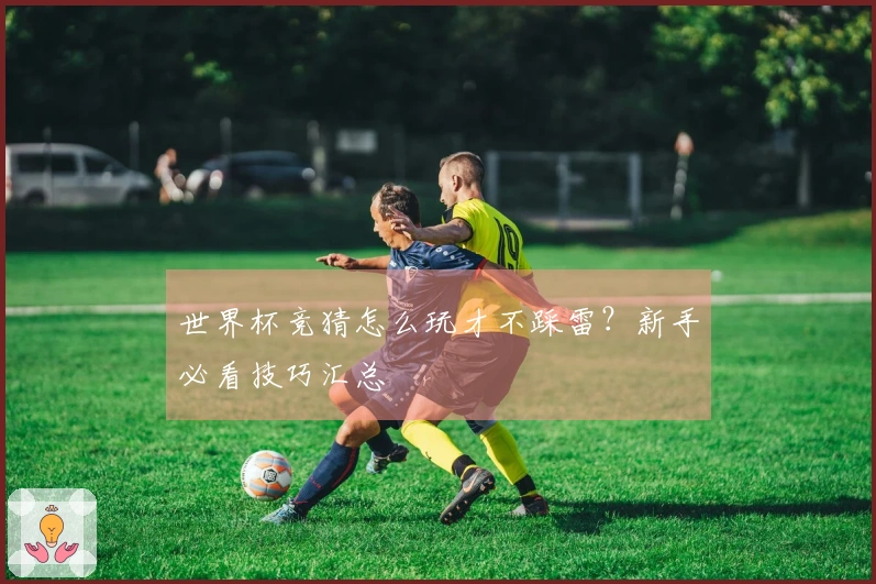 世界杯竞猜怎么玩才不踩雷?新手必看技巧汇总