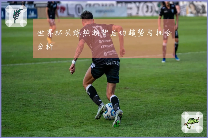 世界杯买球热潮背后的趋势与机会分析