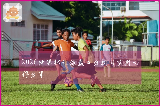 2026世界杯让球盘口分析与实用心得分享